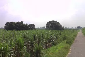 Khirwa Rd, Nangla Tashi, Meerut, Uttar Pradesh, India preview 2
