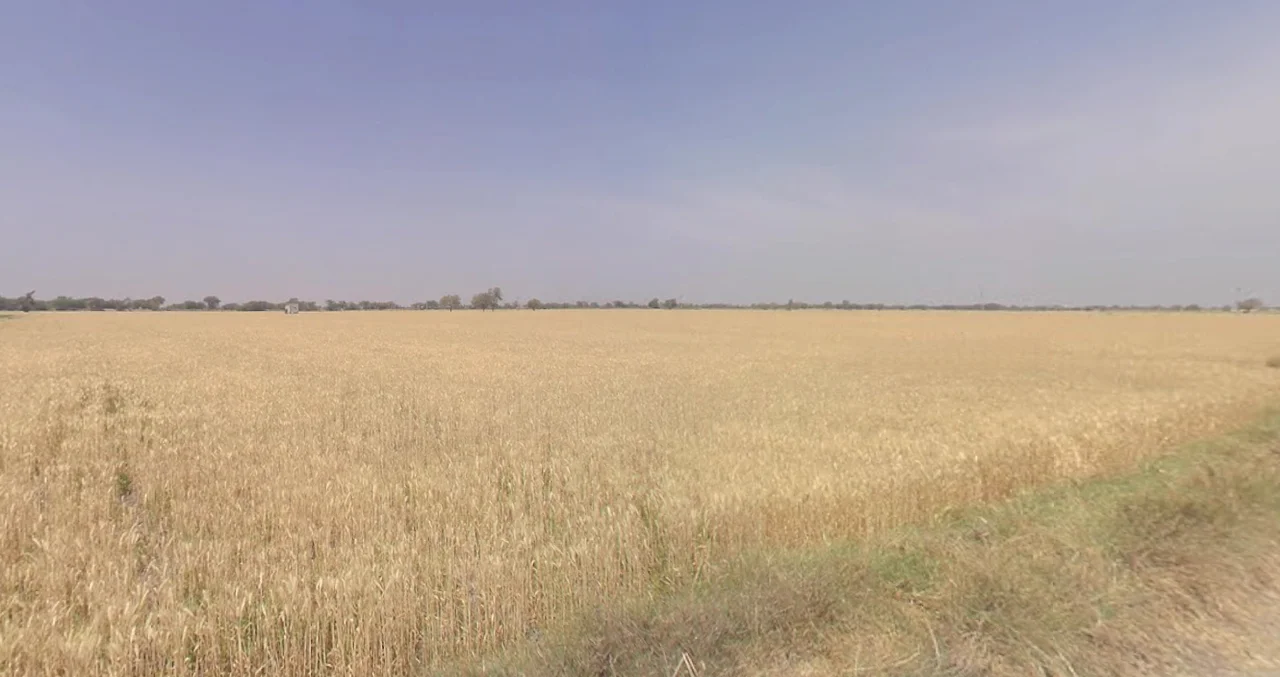 Dodamarg, Maharashtra, India preview 2