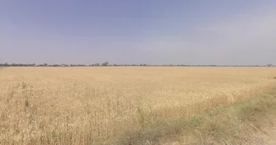 Dodamarg, Maharashtra, India preview 2