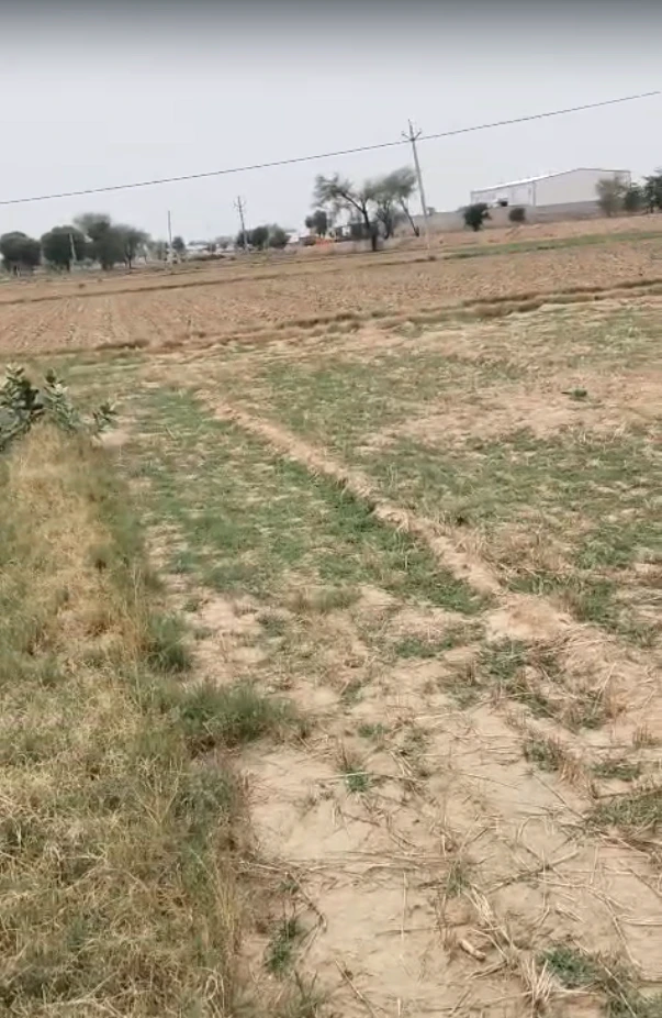 GW9V+MF Marakpur, Rajasthan, India