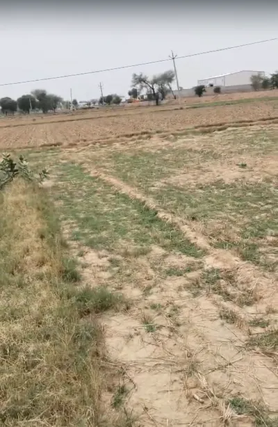 GW9V+MF Marakpur, Rajasthan, India preview 3