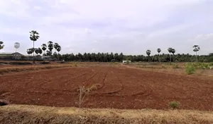 Kozhinjampara, Kerala, India preview 2