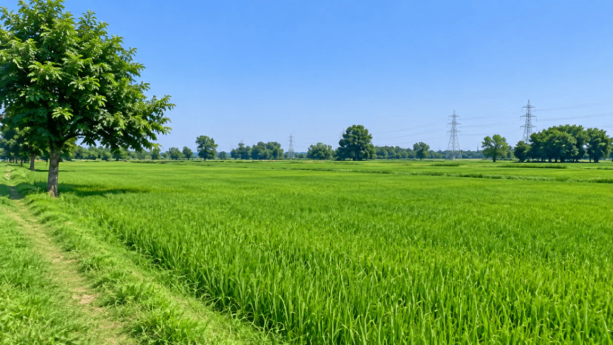 Narwal, Kanpur Nagar, Uttar Pradesh 209401, India