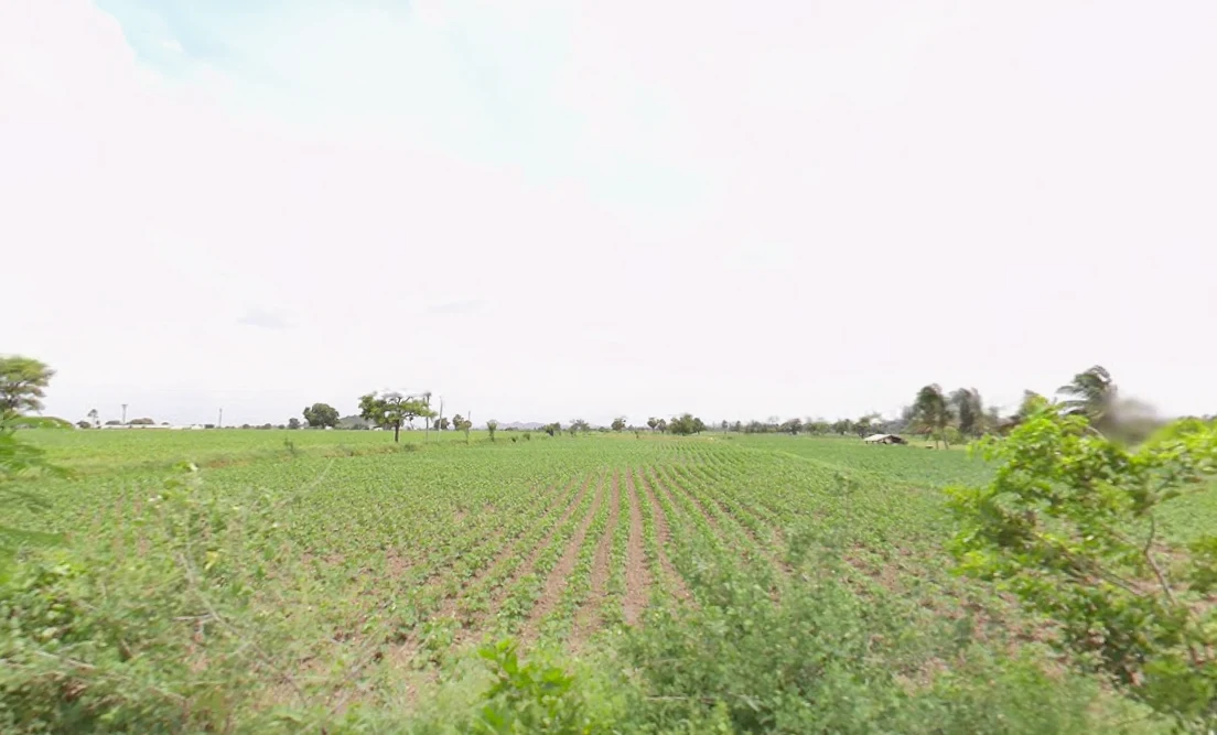 Madgul, Telangana, India