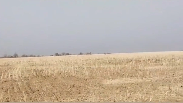 34C3+464, Manikpur, Pata, Uttar Pradesh 210208, India