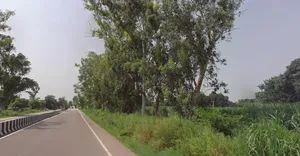 Lalpur, Uttar Pradesh, India preview 3