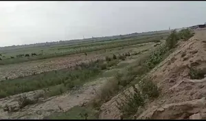 Naubatpur, Bihar 801109, India preview 3