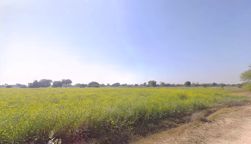 Churu, Rajasthan 331001, India