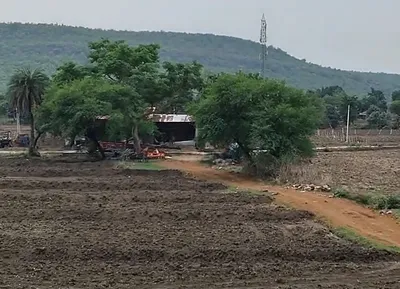 Saktara, Panna, Madhya Pradesh 488333, India preview 2