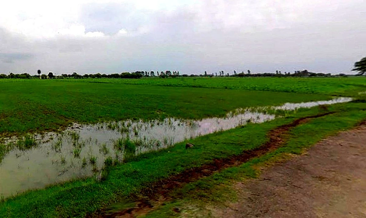 Barsana, Uttar Pradesh 281405, India