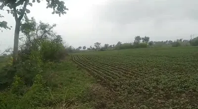 Kabratola, Mungeli, Chhattisgarh, India preview 3