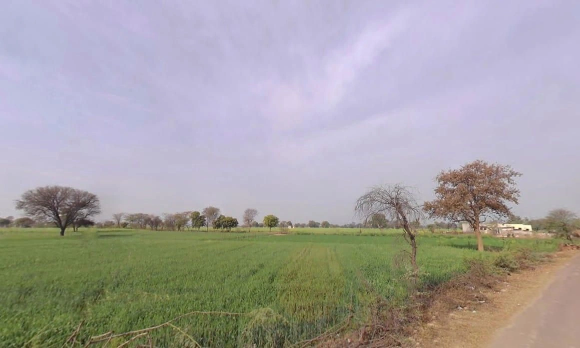 Laxmangarh, Rajasthan 321607, India preview 3