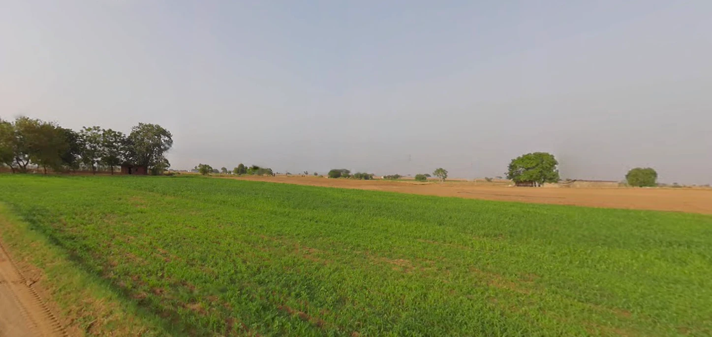 Ranika Singhola, Haryana 122103, India