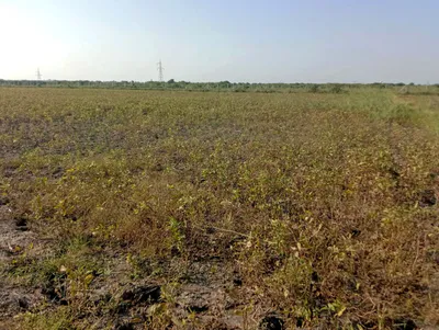 Mohanlalganj, Uttar Pradesh 226301, India preview 2