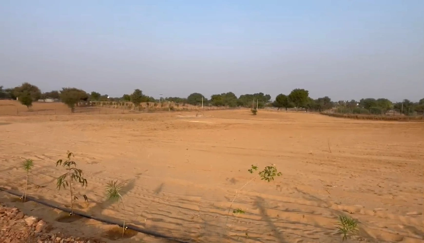 Thanwala, Rajasthan 305026, India
