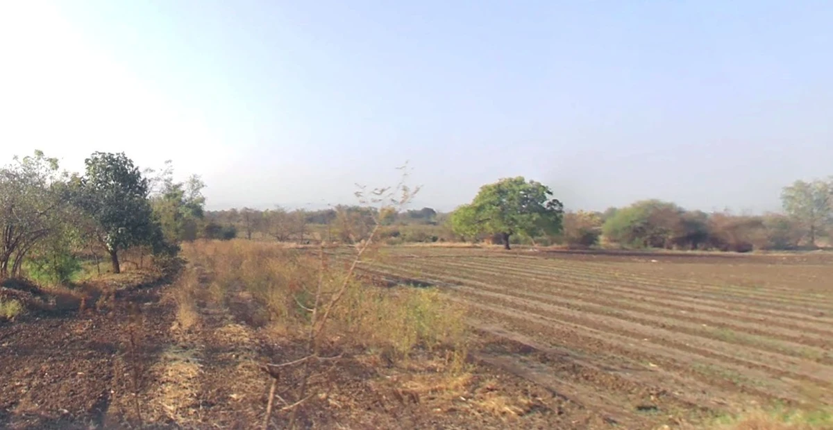 Mithivavdi, Gujarat 384220, India