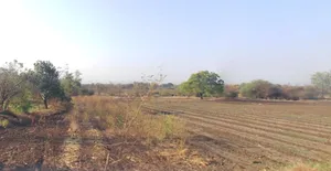 Mithivavdi, Gujarat 384220, India preview 3