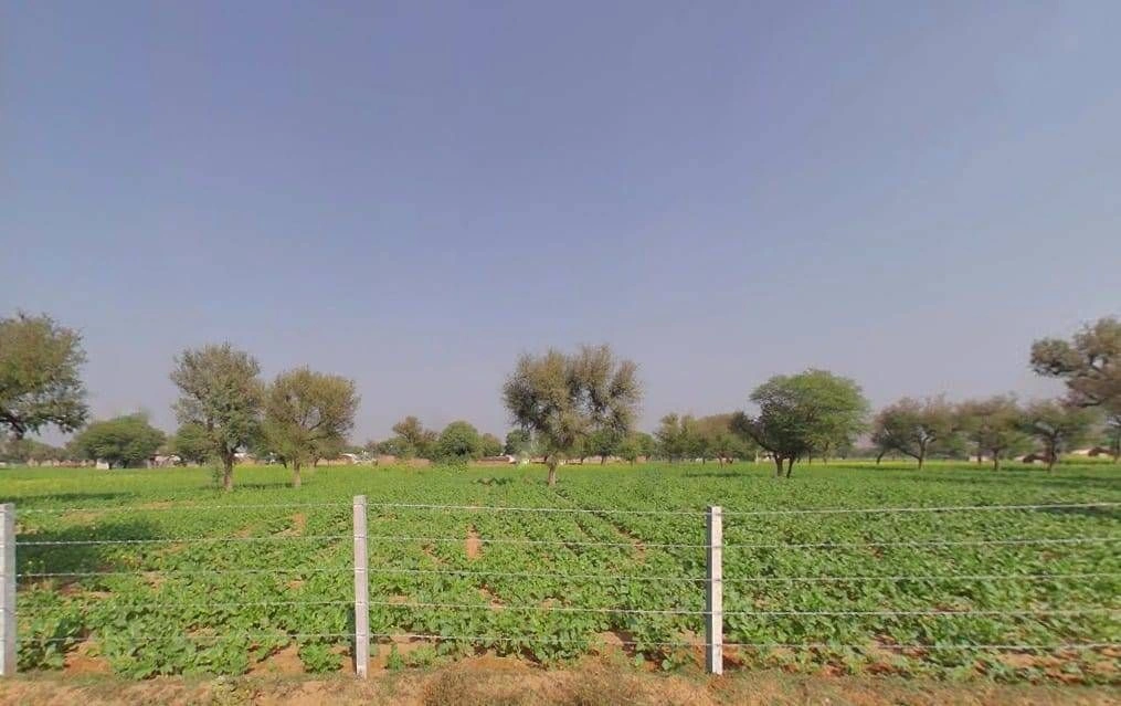 Shahpura, Rajasthan 303103, India preview 2