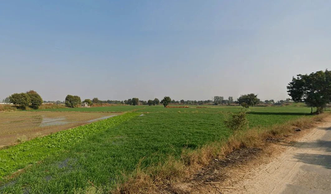 Sunarian, Haryana 124010, India preview 2