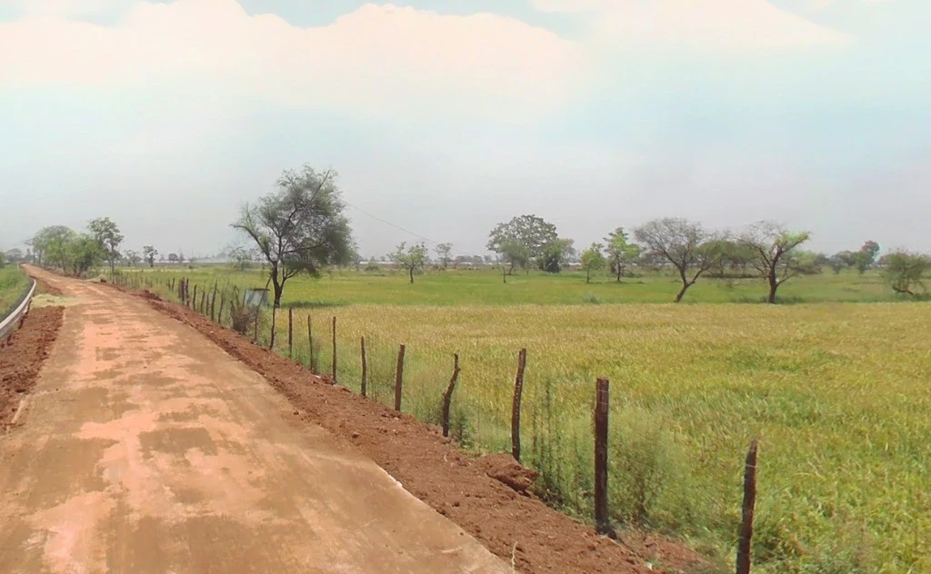 Dhaneli, Chhattisgarh, India