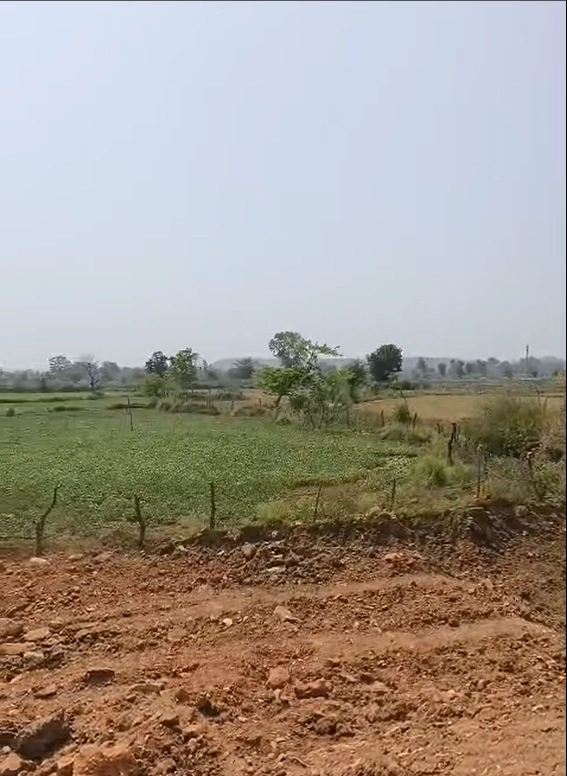 Mungwani, Narsinghpur, Madhya Pradesh 487001, India
