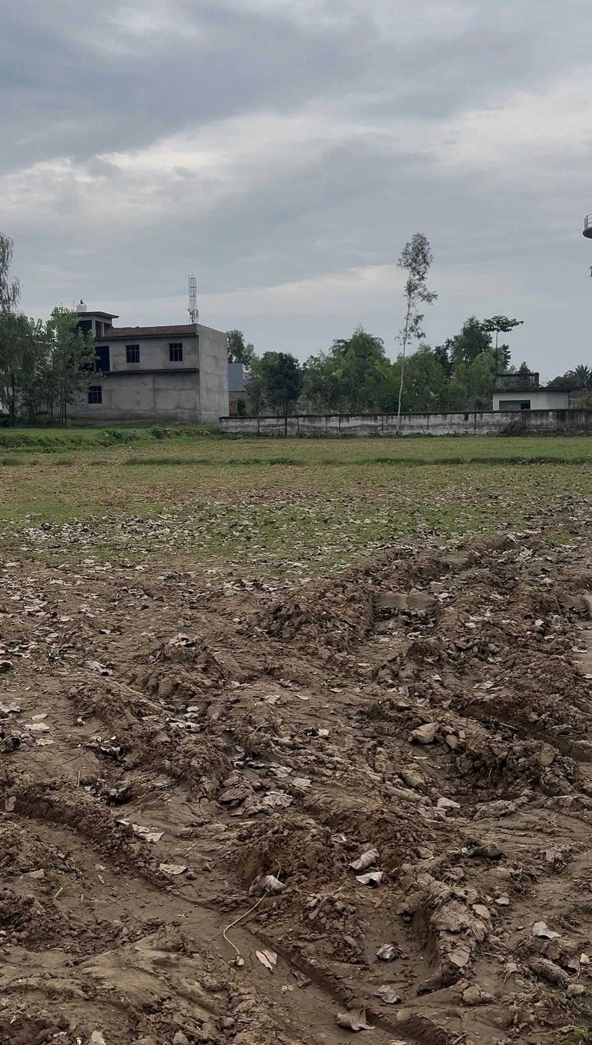 Chilkana, Saharanpur, Uttar Pradesh 247231, India