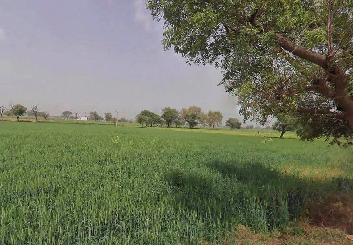 Kairwara, Rajasthan 301406, India