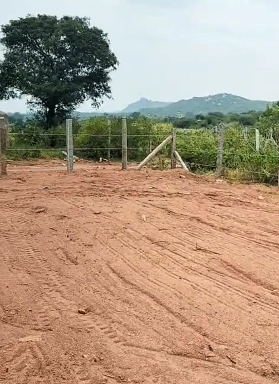 XGP5+4C Kadthal, Ranga Reddy, Telangana, India - Photo 3