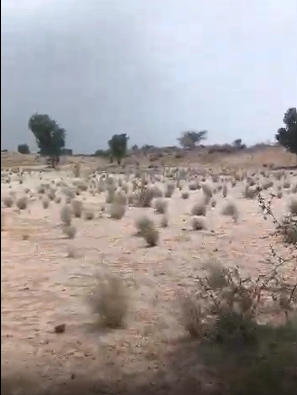 Lunkaransar, Bikaner, Rajasthan 334603, India