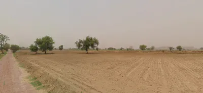 Thuiyan, Haryana 125053, India preview 3