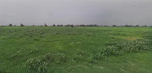 Mandsaur, Madhya Pradesh, India preview 3