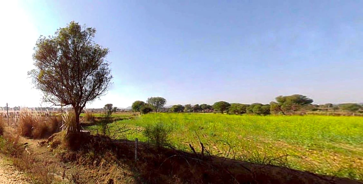 7XFG+554, Lakher, Rajasthan 303104, India