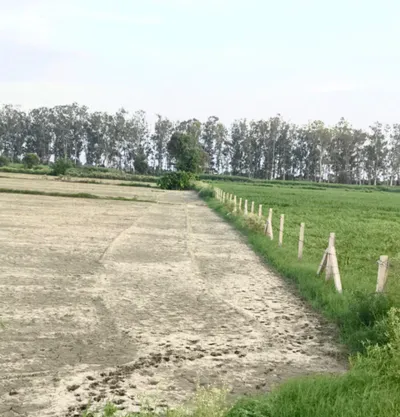 X66G+R36, Palwal, Kot, Haryana 121103, India preview 3