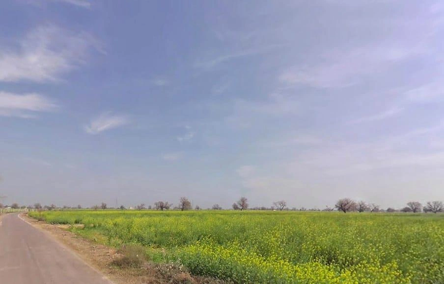 Khudiyana, Rajasthan 321607, India