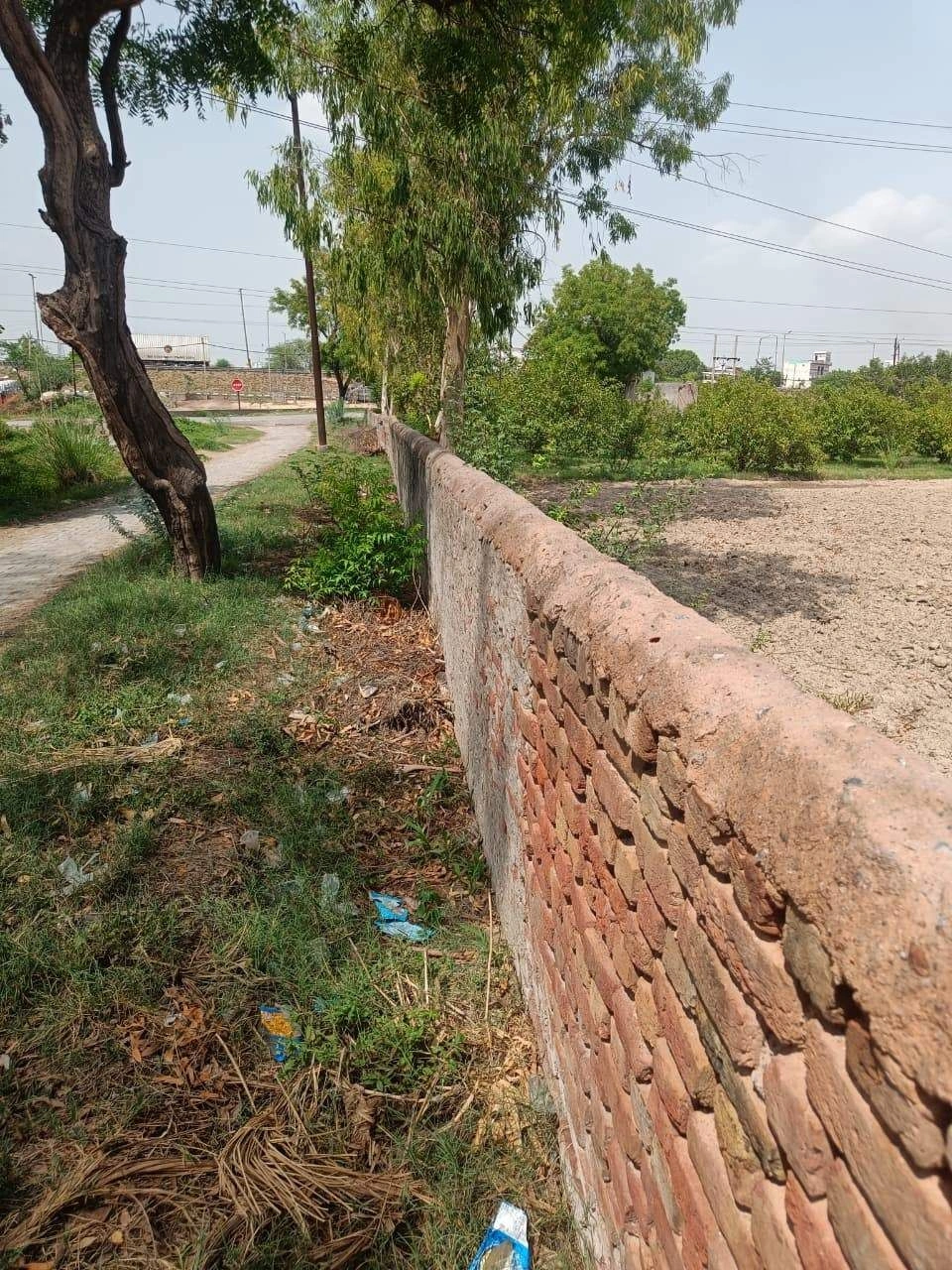 Mohanlalganj, Uttar Pradesh 226301, India