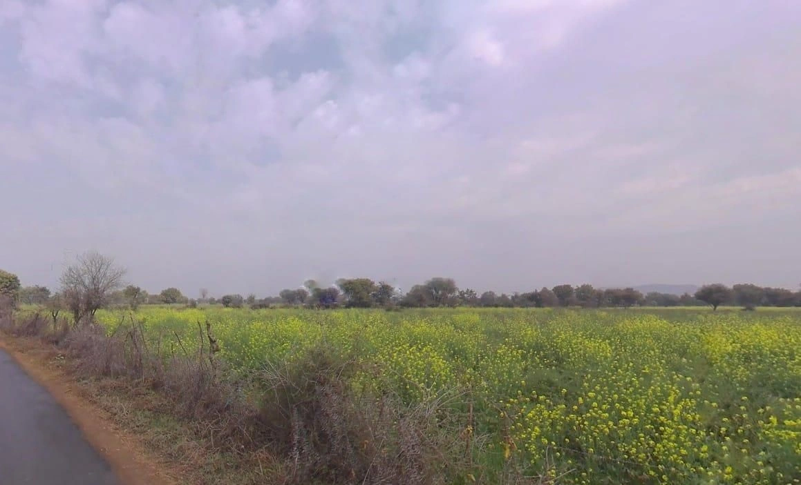 Machari, Rajasthan 301408, India