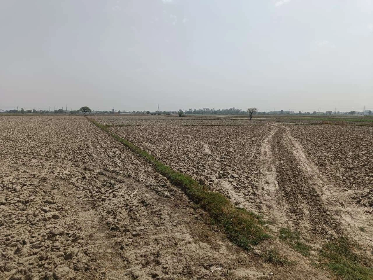 Aou, Rajasthan, India preview 2