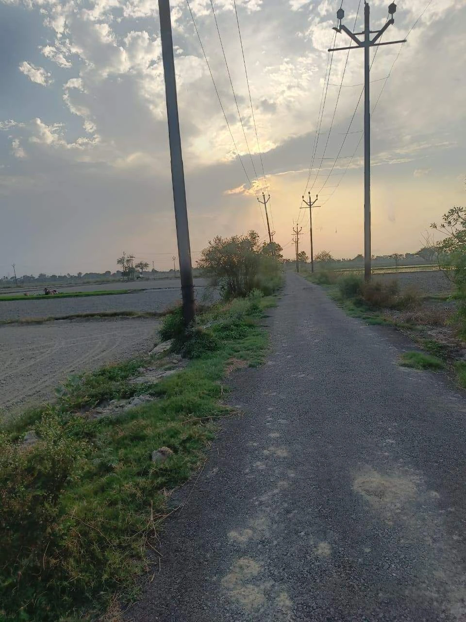 Aou, Rajasthan, India