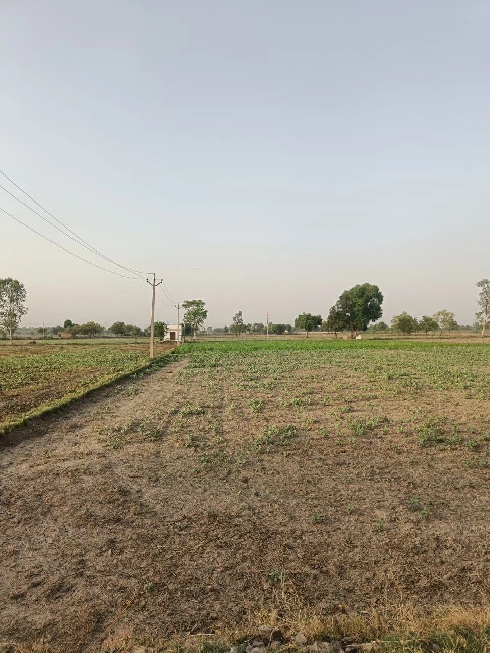 Dhahlavas, Rajasthan 301001, India preview 2