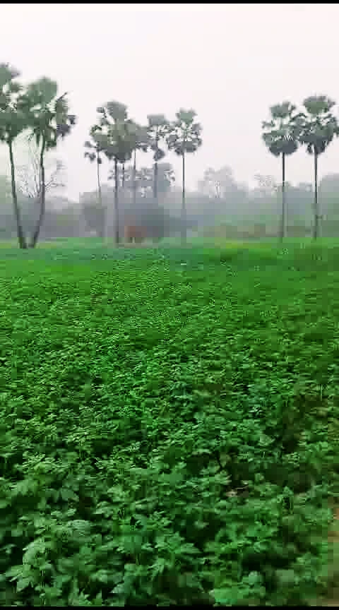 Bhathahi, Bihar, India