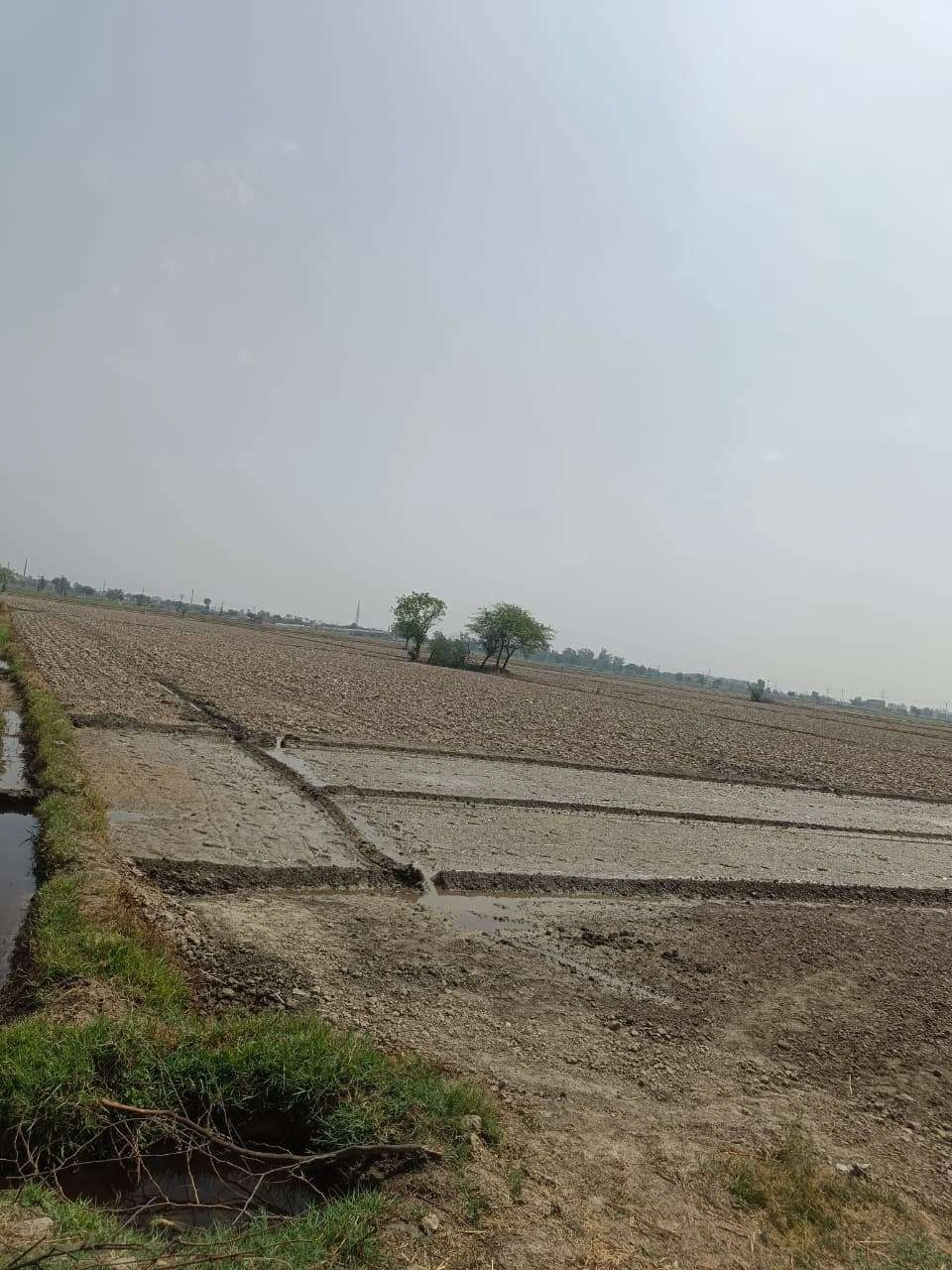 Aou, Rajasthan, India