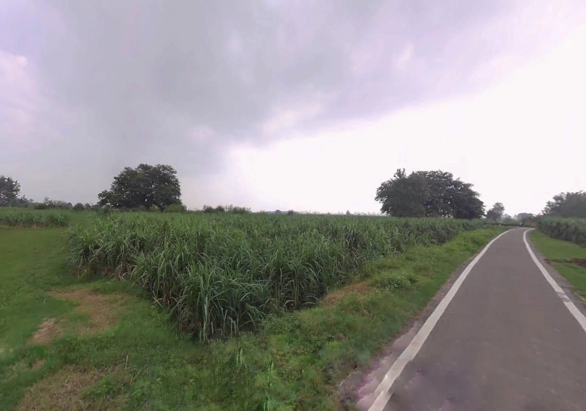 Mandhiyai Khurd, Uttar Pradesh 250341, India