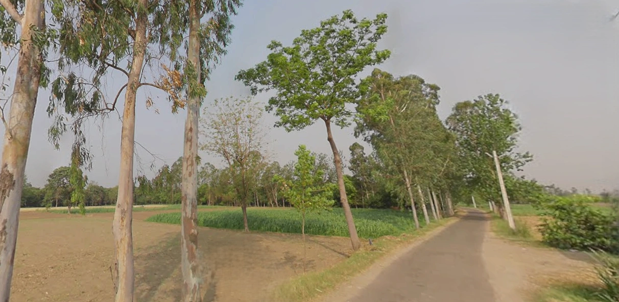 Jaisinghpur, Uttar Pradesh, India