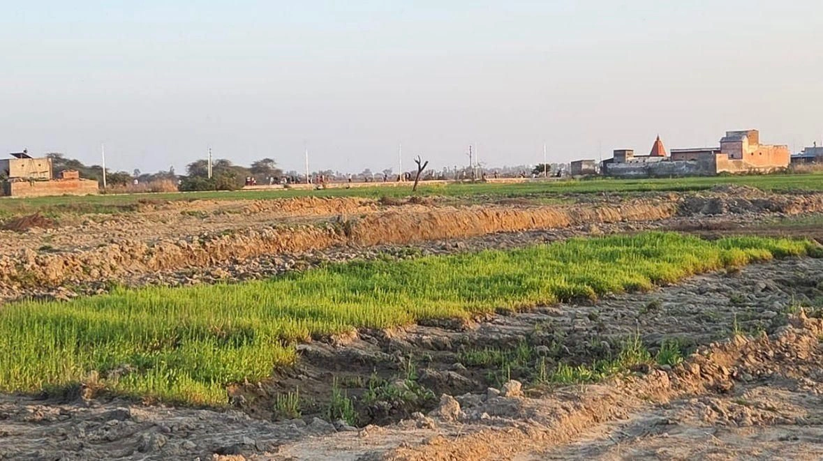 Kokilavan, Vill Post, Bathain Kalan, Kokilavana, Uttar Pradesh 281403, India preview 3