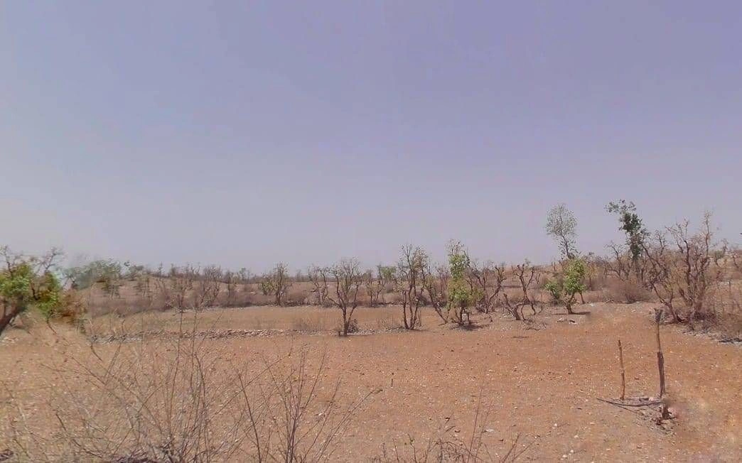 Amarpura, Rajasthan 323803, India