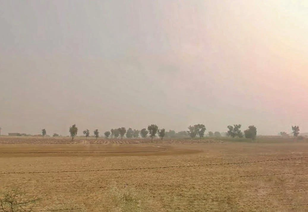 V8GR+38 2 Rm 465 Rd, Rajasthan, India