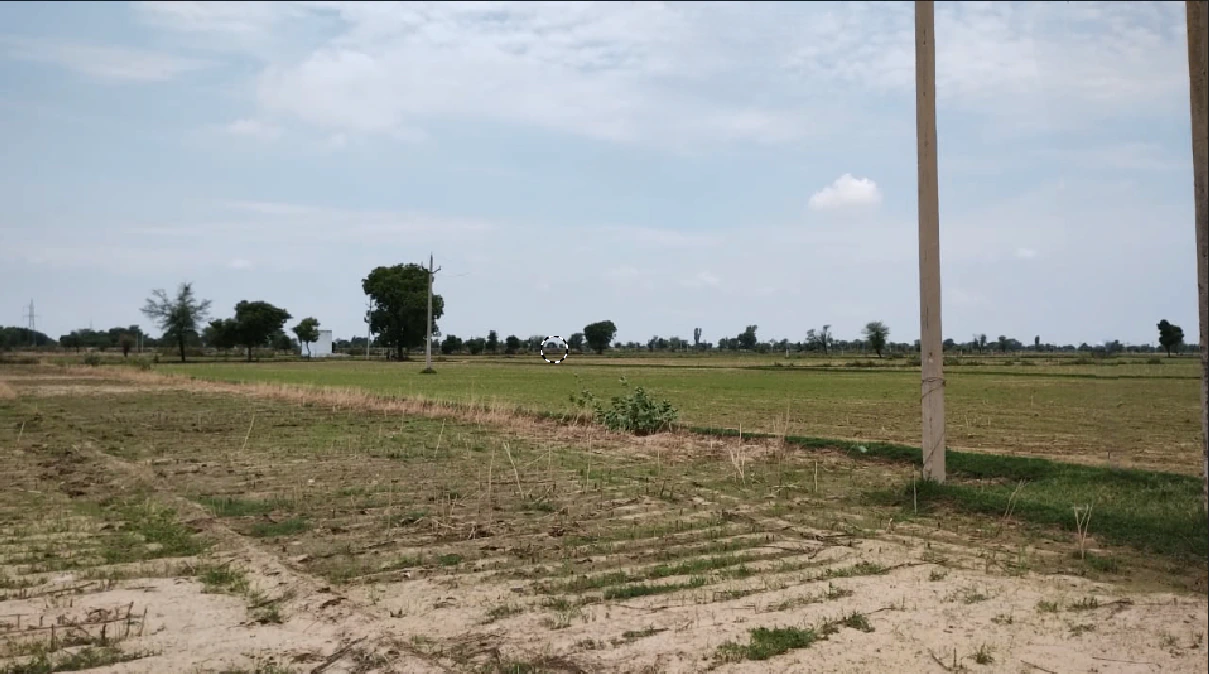 Rakshera, Haryana 132115, India