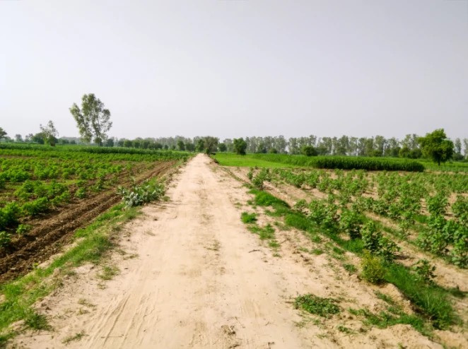 Kukas, Rajasthan, India