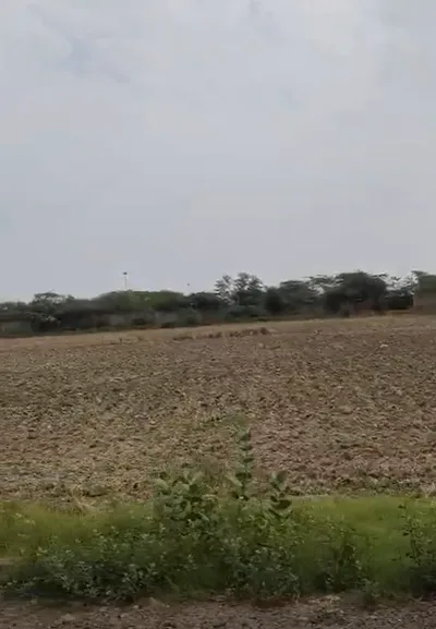 74JX+8F4, Jasania, Haryana 125110, India preview 2