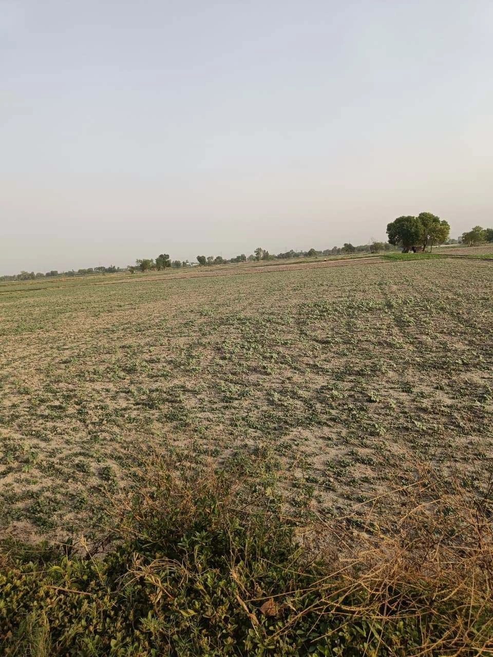 Tentigaon, Uttar Pradesh, India